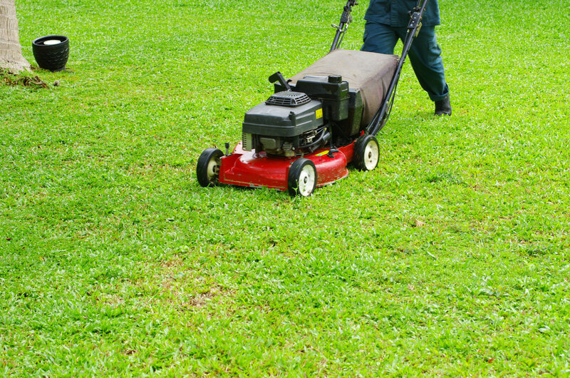 Top-rated landscaping services and lawn care in Georgetown, TX.