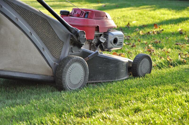 Affordable landscaping and lawn mowing in Georgetown, TX.