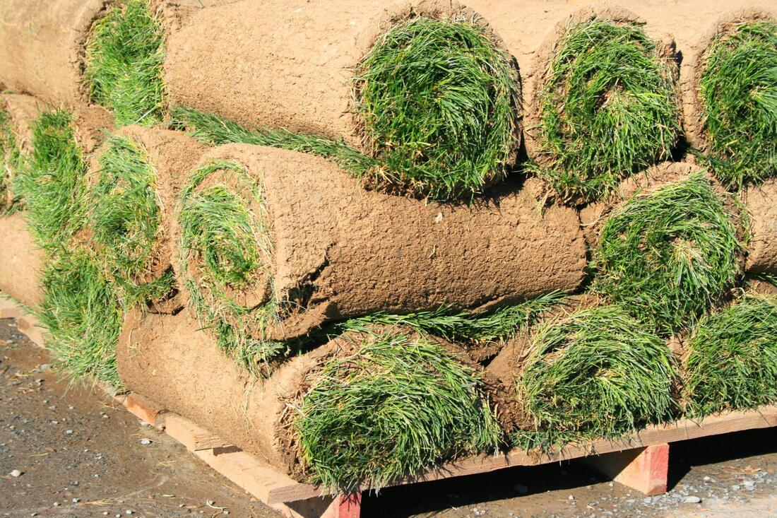 Efficient and affordable sod installation in Georgetown, TX.